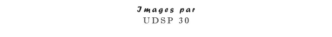 UDSP 30.jpg